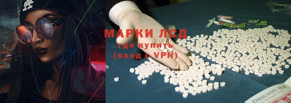PSILOCYBIN Армянск