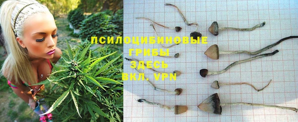 герыч Аркадак