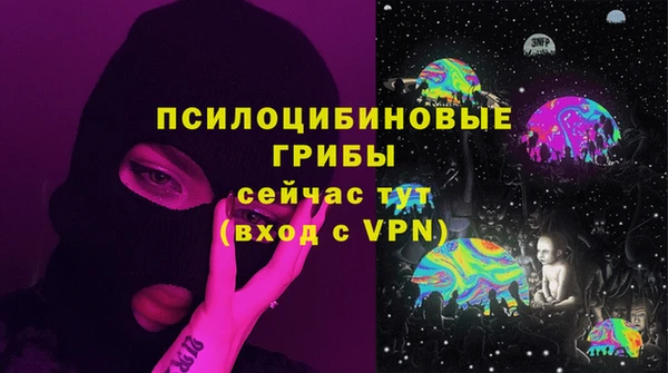 PSILOCYBIN Армянск