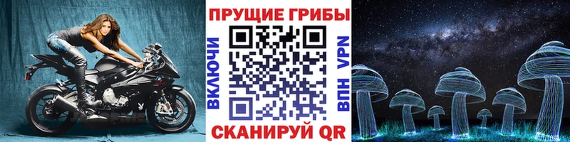 Купить где  Кострома  Галлюциногенные грибы мицелий 
